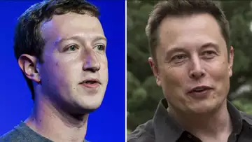 Musk-Zuckerberg Cage Fight Will Be on X, Pending MRI Scan