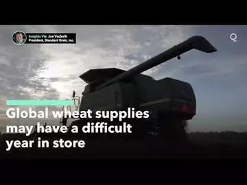 Wheat Markets Face an Uncertain 2023