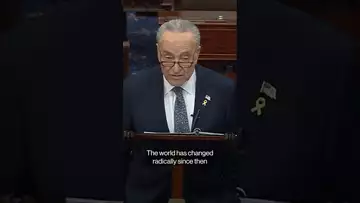 Sen. Schumer calls for new election in #israel #politics #shorts