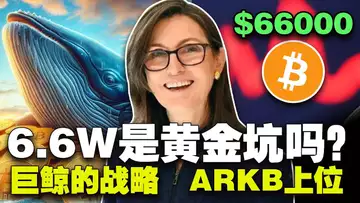 7万3是坎儿?巨鲸抢筹稳定币?BNB Chain 迷因“派对”;方舟力争ETF 第三名;Bitfarms 升级矿机20240404