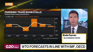 WTO Slashes Forecast for 2023 Merchandise Trade Growth