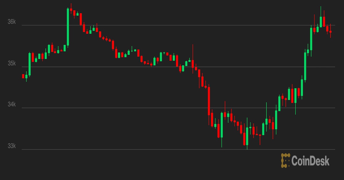 Market Wrap_ Bitcoin stabilizes while altcoins underperform