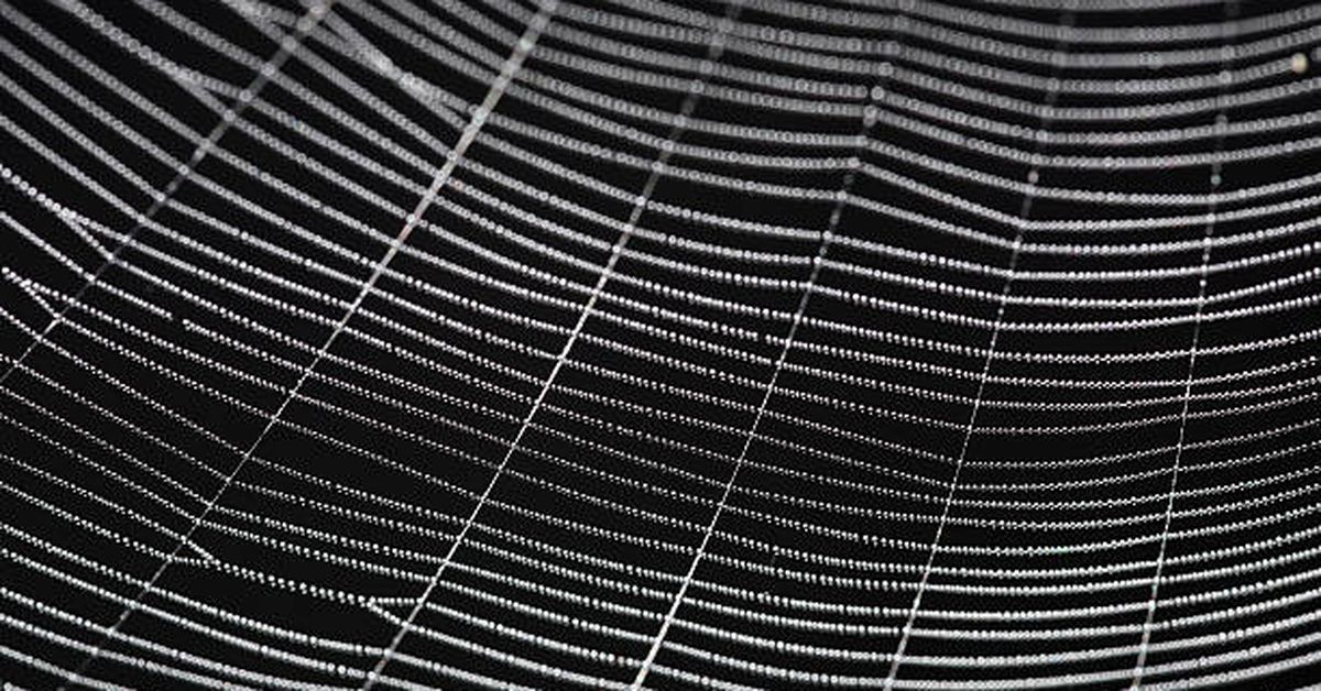 Overcoming Barriers to the Web 3 Creator Economy