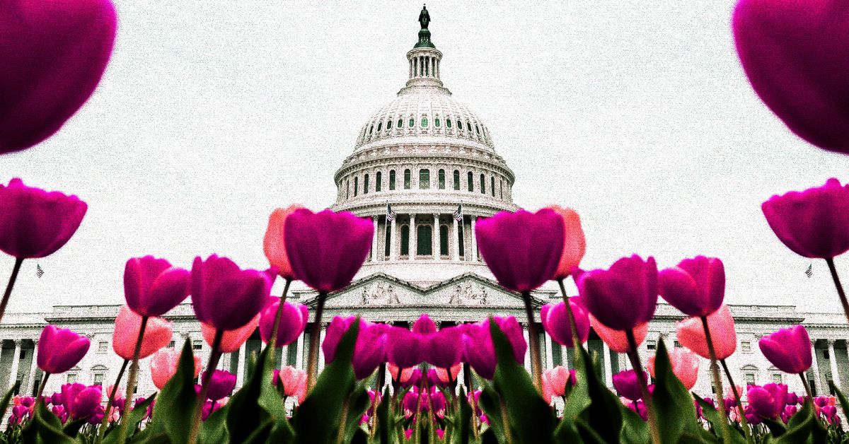 Bitcoin is apolitical, but won't be for long